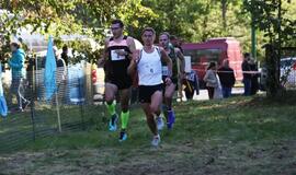 Gintarinė jūrmylė