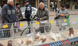 Palangoje vyko šeštoji Turgaus šventė