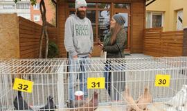 Palangoje vyko šeštoji Turgaus šventė