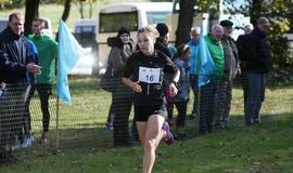 Gintarinė jūrmylė