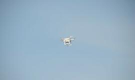 Klaipėdos autofanų suvažiavimas