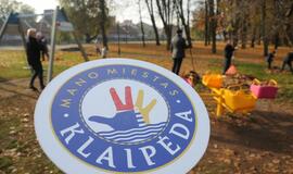 Lapų grėbimo talka