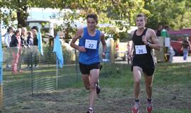 Gintarinė jūrmylė