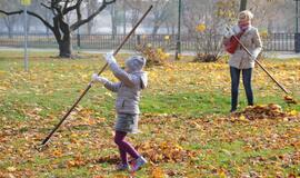 Lapų grėbimo talka