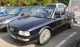 Klaipėdos autofanų suvažiavimas