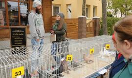 Palangoje vyko šeštoji Turgaus šventė