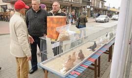 Palangoje vyko šeštoji Turgaus šventė