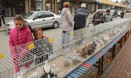 Palangoje vyko šeštoji Turgaus šventė