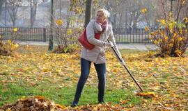 Lapų grėbimo talka