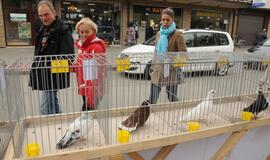 Palangoje vyko šeštoji Turgaus šventė