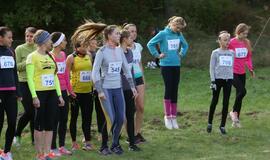 Gintarinė jūrmylė