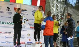 Gintarinė jūrmylė