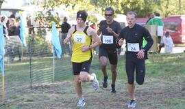 Gintarinė jūrmylė