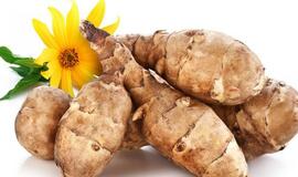 Topinambas: nei bulvė, nei saulėgrąža