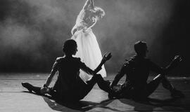 Festivalis "Bičių sąskrydis" - pirmą kartą pajūryje