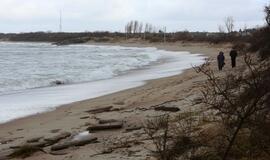 Stiprus vėjas pajūryje