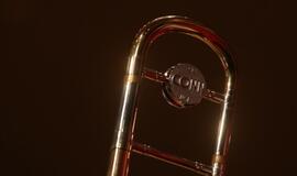 LR Karinių oro pajėgų ir JK Karališkosios divizijos orkestrų šventinis koncertas