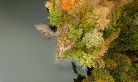 Karolio Janulio fotografijos