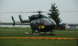 Neringos gimtadienis