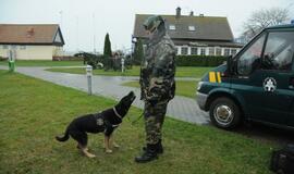 Neringos gimtadienis