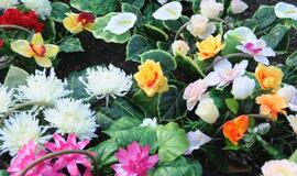 Vėlinės Klaipėdoje