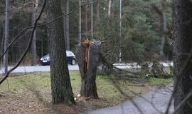 Stiprus vėjas pajūryje