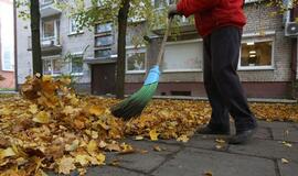 Aukštojo mokslo diplomas - kliūtis norint išgyventi?