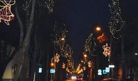 Kalėdų eglę įžiebs ir Palanga