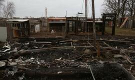 Gaisras gyvūnų prieglaudoje