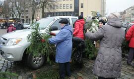 Eglių šakų dalinimo akcija