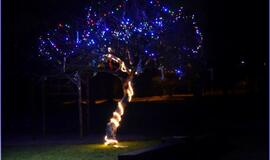 Svajonė, virtusi šviečiančiu kalėdiniu sodu