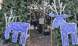 Klaipėdos Kalėdų eglė