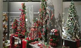 2015-ųjų kalėdinė magija