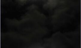 Svajonė, virtusi šviečiančiu kalėdiniu sodu