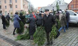 Eglių šakų dalinimo akcija