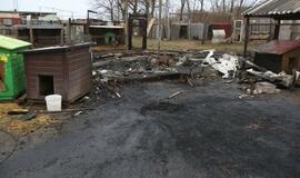 Gaisras gyvūnų prieglaudoje