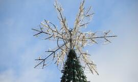 Klaipėdos Kalėdų eglė