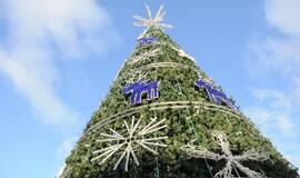 Klaipėdos Kalėdų eglė