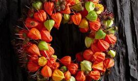 2015-ųjų kalėdinė magija