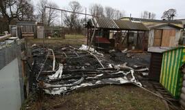 Gaisras gyvūnų prieglaudoje