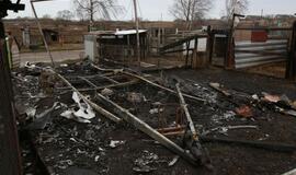 Gaisras gyvūnų prieglaudoje