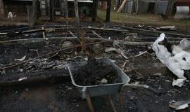 Gaisras gyvūnų prieglaudoje