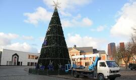 Klaipėdos Kalėdų eglė