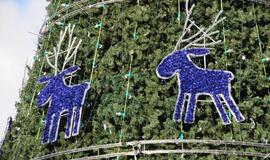 Klaipėdos Kalėdų eglė