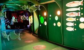 Jūrų muziejus pro rakto skylutę