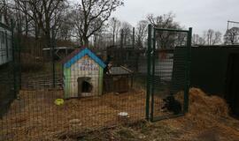 Gaisras gyvūnų prieglaudoje