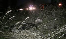 Rytinis reidas Klaipėdoje