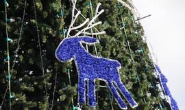 Klaipėdos Kalėdų eglė