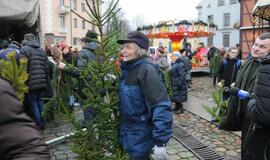 Eglių šakų dalinimo akcija