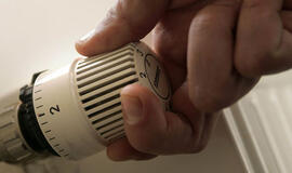 Renovacijos dienoraštis (22)